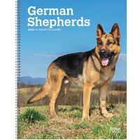 2024 Planner German Shepherds 16-Month Planner Browntrout BT68750