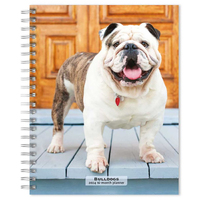 2024 Planner Bulldogs 16-Month Engagement Browntrout BT68774