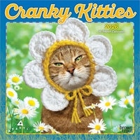 2026 Calendar Avanti Cranky Kitties 16-Month Mini Wall, BrownTrout BT01407