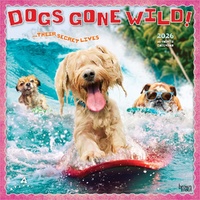 2026 Calendar Avanti Dogs Gone Wild 16-Month Square Wall, BrownTrout BT01445