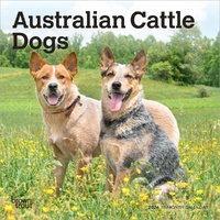 2026 Calendar Australian Cattle Dogs 16-Month Mini Wall, BrownTrout BT02183
