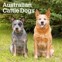 2026 Calendar Australian Cattle Dogs 16-Month Square Wall, BrownTrout BT02190
