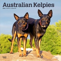 2026 Calendar Australian Kelpies 16-Month Square Wall, BrownTrout BT02206