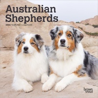 2026 Calendar Australian Shepherds 16-Month Mini Wall, BrownTrout BT02213