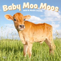 2026 Calendar Baby Moo Moos 16-Month Square Wall, BrownTrout BT02282