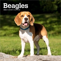2026 Calendar Beagles 16-Month Mini Wall, BrownTrout BT02374