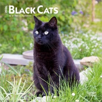 2026 Calendar Black Cats 16-Month Mini Wall, BrownTrout BT02473
