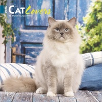 2026 Calendar Cat Lovers 16-Month Mini Wall, BrownTrout BT02770