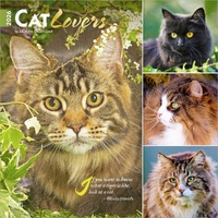 2026 Calendar Cat Lovers 16-Month Square Wall, BrownTrout BT02787