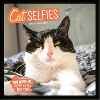 2026 Calendar Cat Selfies 16-Month Square Wall, BrownTrout BT02794