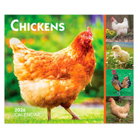 2026 Calendar Chickens Day-to-Day Boxed, BrownTrout BT02855