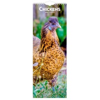 2026 Calendar Chickens Slim Wall, BrownTrout BT02893
