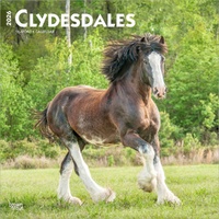 2026 Calendar Clydesdales 16-Month Square Wall, BrownTrout BT02954