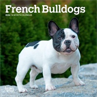 2026 Calendar French Bulldogs 16-Month Mini Wall, BrownTrout BT03296