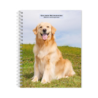 2026 16-Month Planner Golden Retrievers Monthly/Weekly, BrownTrout BT03470