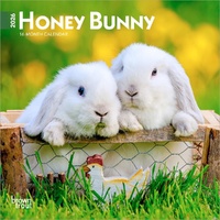 2026 Calendar Honey Bunny 16-Month Mini Wall, BrownTrout BT03647