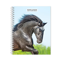 2026 16-Month Planner Horse Lovers Monthly/Weekly, BrownTrout BT03692