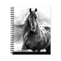 2026 16-Month Planner The Noble Horse, The Browntrout Portrait Series Monthly/Weekly, BrownTrout BT03746