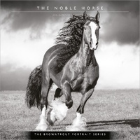 2026 Calendar The BrownTrout Portrait Series: The Noble Horse 16-Month Square Wall, BrownTrout BT03753