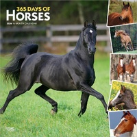 2026 Calendar 365 Days of Horses 16-Month Square Wall, BrownTrout BT03760