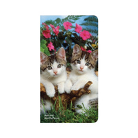 2026-2027 2-Year Planner Kitten Cuddles Pocket Month to View, BrownTrout BT04088
