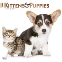 2026 Calendar Kittens & Puppies 16-Month Square Wall, BrownTrout BT04101