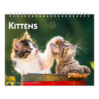 2026 Calendar Kittens Double-View Desk Easel, BrownTrout BT04118