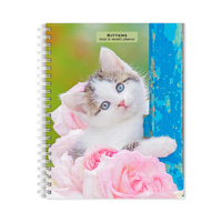 2026 16-Month Planner Kittens Monthly/Weekly, BrownTrout BT04125