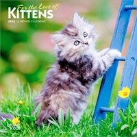 2026 Calendar For the Love of Kittens 16-Month Mini Wall, BrownTrout BT04132