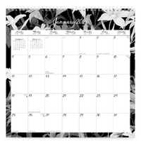 2026 Calendar Pen & Ink with Stickers Wiro Wall, BrownTrout BT05092