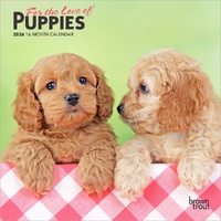 2026 Calendar For the Love of Puppies 16-Month Mini Wall, BrownTrout BT05252
