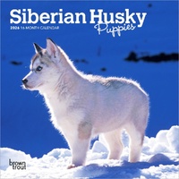 2026 Calendar Siberian Husky Puppies 16-Month Mini Wall, BrownTrout BT05597