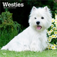 2026 Calendar Westies 16-Month Square Wall, BrownTrout BT06280