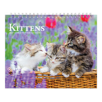 2027 Calendar Kittens Double-View Desk Easel, Browntrout BT09373