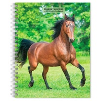 2027 16-Month Planner Horse Lovers Engagement Calendar Desk Monthly/Weekly, Browntrout BT09458