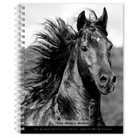 2027 16-Month Planner The BrownTrout Portrait Series: The Noble Horse Engagement Calendar Desk Monthly/Weekly, Browntrout BT09465