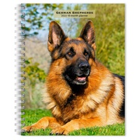 2027 16-Month Planner German Shepherds Engagement Calendar Desk Monthly/Weekly, Browntrout BT09496