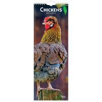 2027 Calendar Chickens Slim Wall, Browntrout BT10287