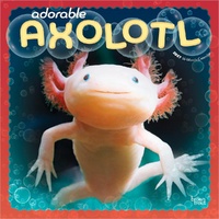 2027 16-Month Calendar Adorable Axolotl Square Wall, Browntrout BT11376