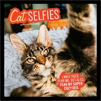 2027 16-Month Calendar Cat Selfies Square Wall, Browntrout BT11383