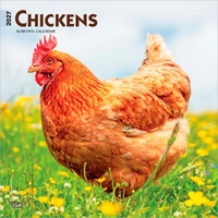 2027 16-Month Calendar Chickens Square Wall, Browntrout BT11871