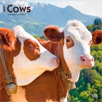 2027 16-Month Calendar Cows Square Wall, Browntrout BT11888