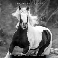 2027 16-Month Calendar The BrownTrout Portrait Series: The Noble Horse Square Wall, Browntrout BT11994