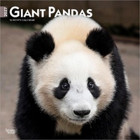 2027 16-Month Calendar Giant Pandas Square Wall, Browntrout BT12045