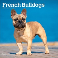 2027 16-Month Calendar French Bulldogs Square Wall, Browntrout BT12434