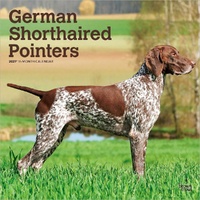 2027 16-Month Calendar German Shorthaired Pointers Square Wall, Browntrout BT12458