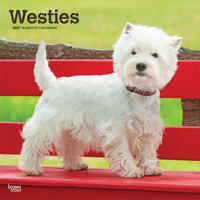 2027 16-Month Calendar West Highland White Terriers Square Wall, Browntrout BT12724