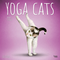 2027 16-Month Calendar Yoga Cats Square Wall, Browntrout BT13509