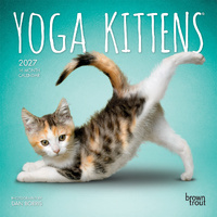 2027 16-Month Calendar Yoga Kittens Mini Wall, Browntrout BT13530