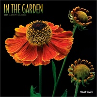 2027 16-Month Calendar Brush Dance In the Garden Square Wall, Browntrout BT13974